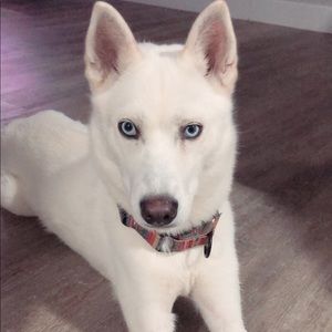 Meet your Posher, Cristal liz